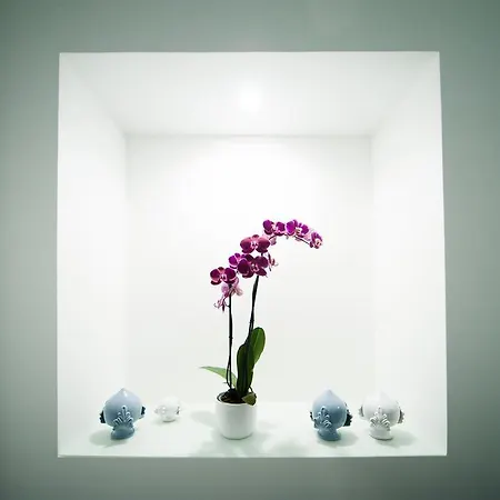 Couette-café Tabula Maris