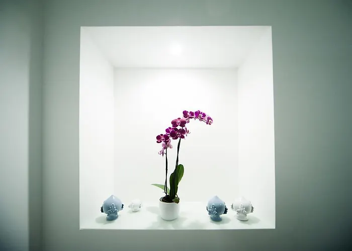 לינה וארוחת בוקר Tabula Maris